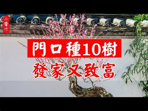 門口種玫瑰風水